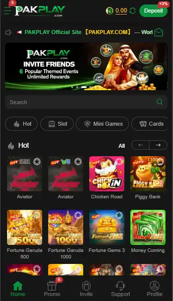 pak play game